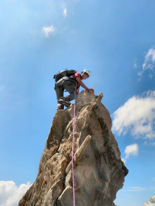 Aiguille de la Vanoise (71).jpg - Stph au sommet du fil